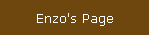 Enzo's Page